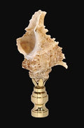 3-1/4" Tall "Seashell" Finial Tapped 1/4-27F (11022)