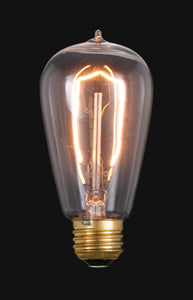 Antique Edison Bulb